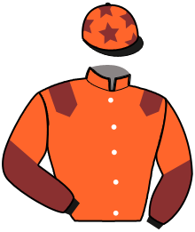 Casaque n°4