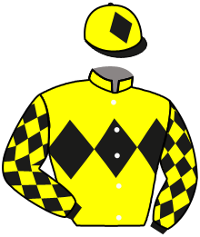 Casaque n°13