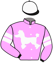 Casaque n°8