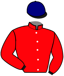 Casaque n°13