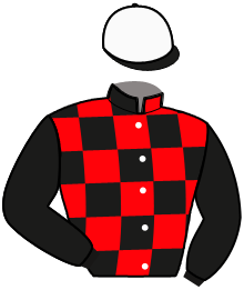 Casaque n°9