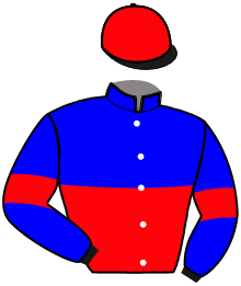 Casaque n°15