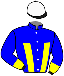 Casaque n°2