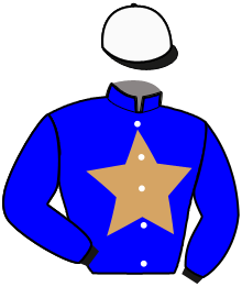 Casaque n°4