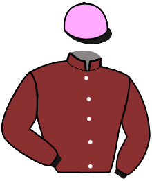 Casaque n°6