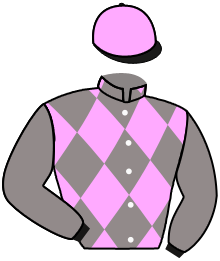 Casaque n°1