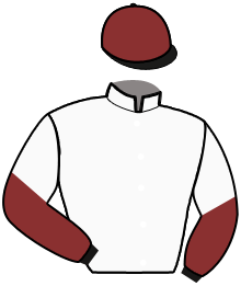 Casaque n°2