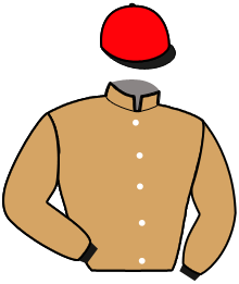 Casaque n°2