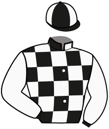 Casaque n°4