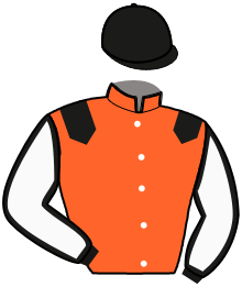 Casaque n°6