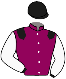 Casaque n°4