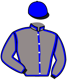 Casaque n°5