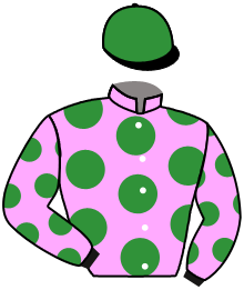Casaque n°8