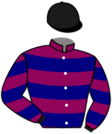 Casaque n°12