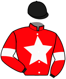 Casaque n°11