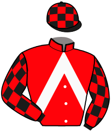 Casaque n°4