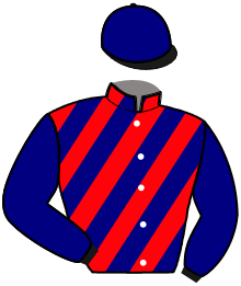 Casaque n°8