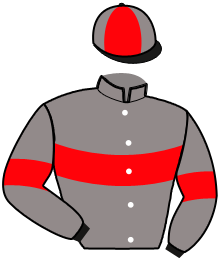 Casaque n°14