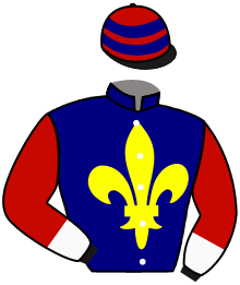 Casaque n°8