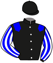 Casaque n°2