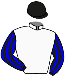 Casaque n°11
