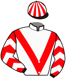 Casaque n°4