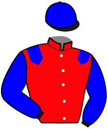 Casaque n°3