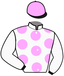 Casaque n°2