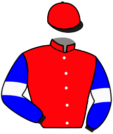 Casaque n°13