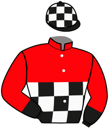 Casaque n°2