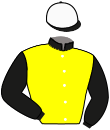 Casaque n°4