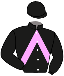 Casaque n°14