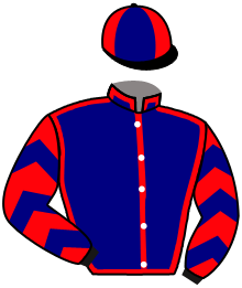 Casaque n°10