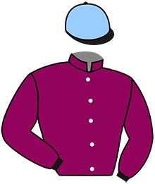 Casaque n°2