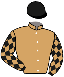 Casaque n°3