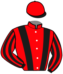 Casaque n°10