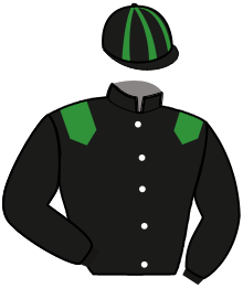 Casaque n°15