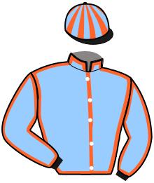 Casaque n°15
