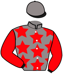 Casaque n°4
