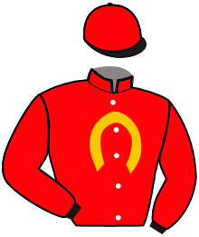 Casaque n°10
