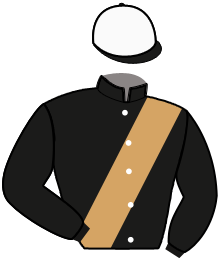 Casaque n°9