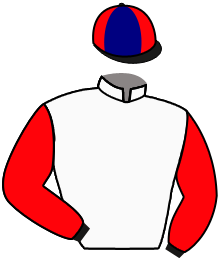 Casaque n°3