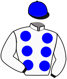 Casaque n°7