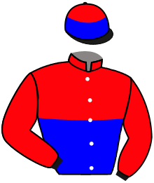 Casaque n°2