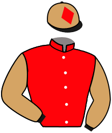 Casaque n°9