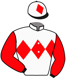 Casaque n°1