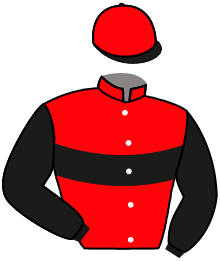 Casaque n°8