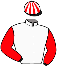 Casaque n°4