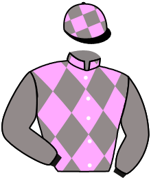 Casaque n°8