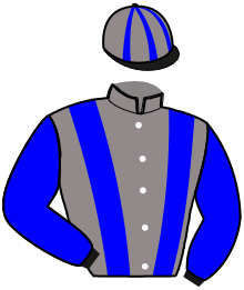 Casaque n°2
